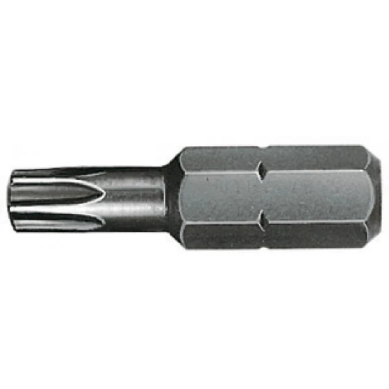 EMBOUT TORX 20-25 10P MAKITA - P06345